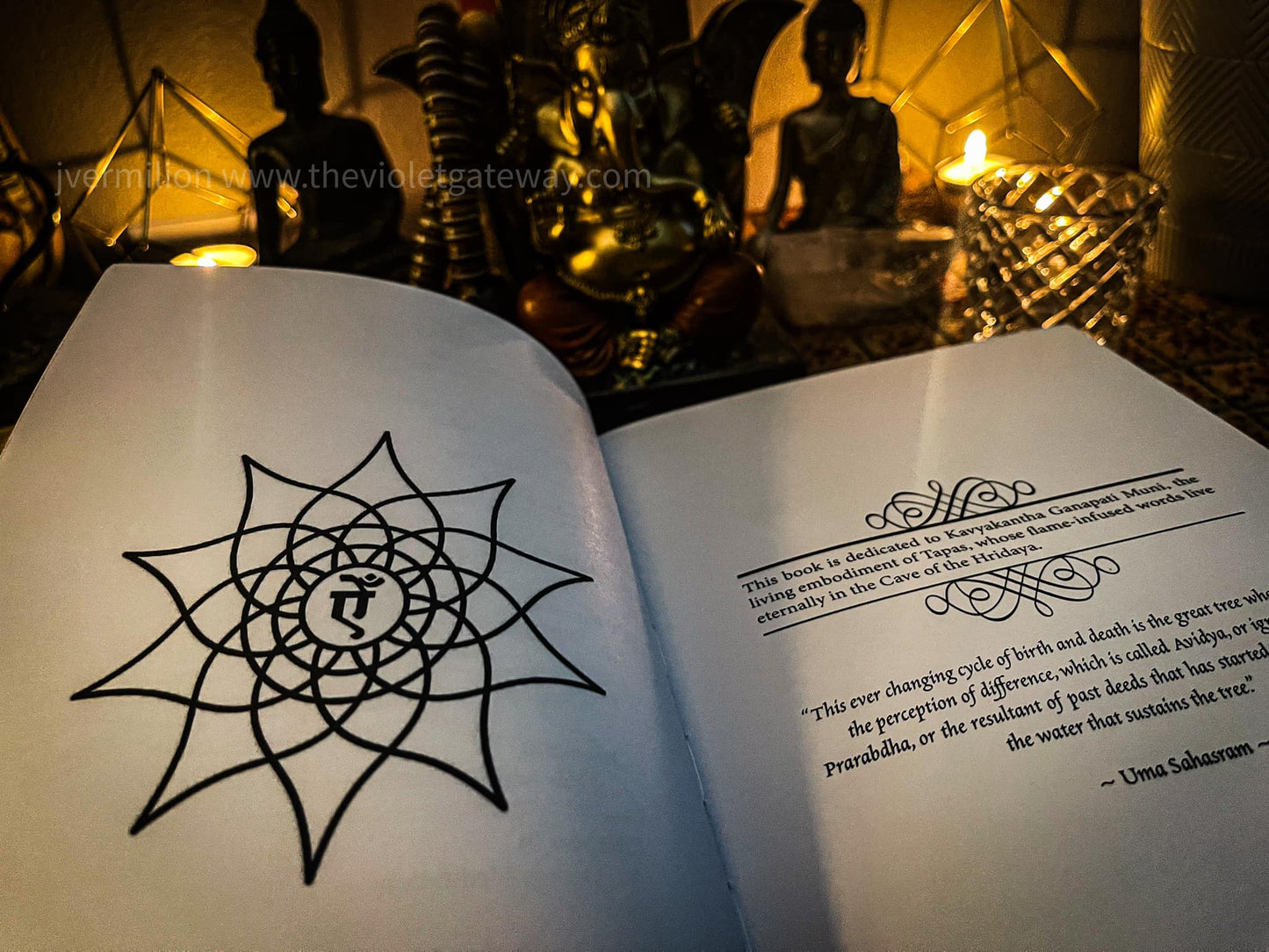 Desert Meditations: Gnostic Cartography – A Handbook of Agni yoga (Limited Edition)